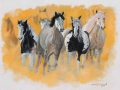 24-di-gregoli-antonio-cavalli-in-fuga_2882