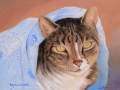 48-schreiber-barbara-lulu_2902
